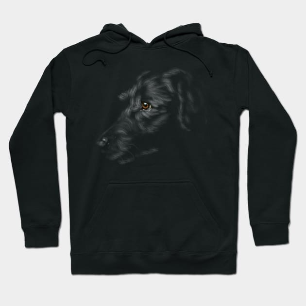 Black Lab, labrador retriever Hoodie by rand0mity